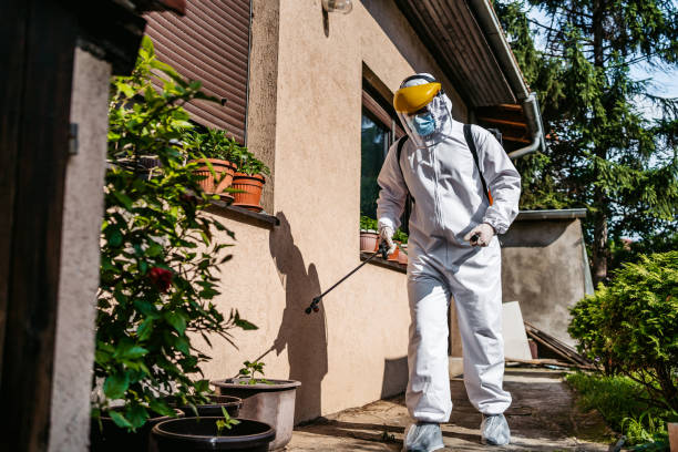 Best Affordable Pest Control Services  in North Miami Beach, FL