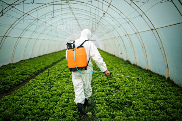 Best Mosquito Control Services  in North Miami Beach, FL