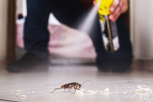 Pest Control Cost in North Miami Beach, FL