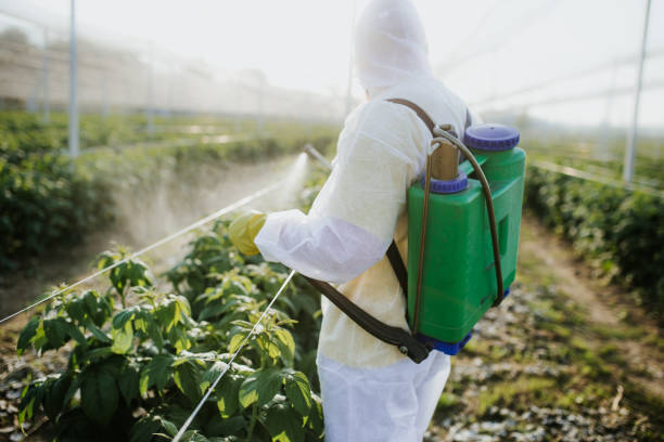 Trusted North Miami Beach, FL Pest Control Experts